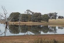 Tullaroop Reservoir景点图片
