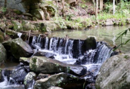 Cachoeira do Macacu Garopaba景点图片