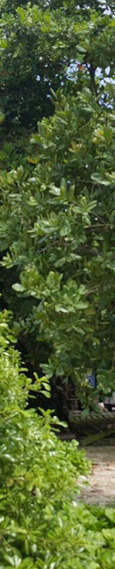 布法隆海滩-博瓦隆