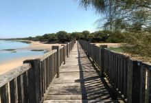Playa Rio de San Pedro景点图片