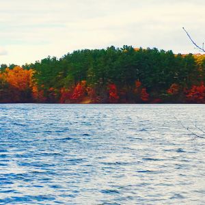 Wellesley
