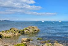 Elberry Cove景点图片