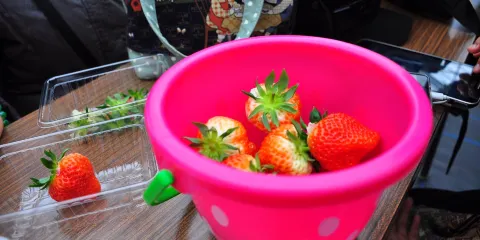 Yukiguni Agripark Yuzawa Ichigo-mura