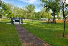 Denver Dog Park景点图片