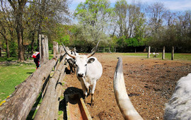 Restaurant Tierpark