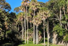 Hordern Park景点图片