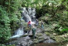 Cachoeira da Jacutinga景点图片