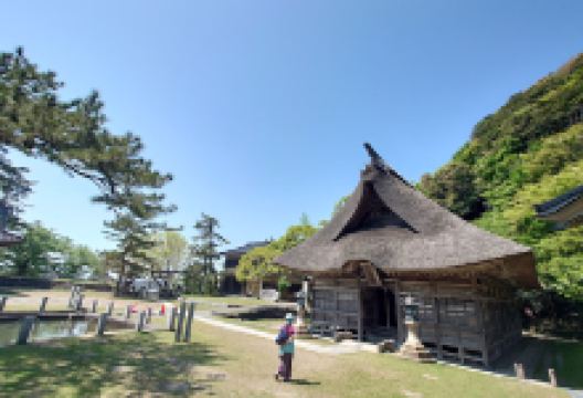 Nou History and Culture Museum景点图片