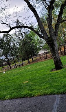 Forest Glen Park-森特勒尔波因特