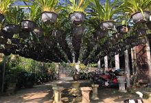 Vườn lan Thành Nhân景点图片