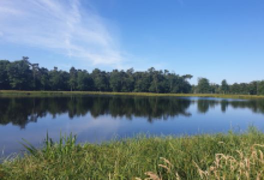 Mollebos景点图片