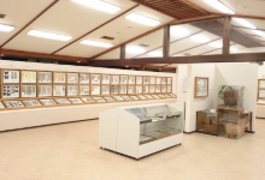 Shinshu Insect Museum景点图片