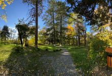 Parcul Dendrologic Gurghiu景点图片