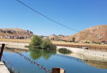 Çocuk Bahçesi景点图片