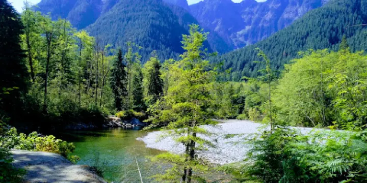 WildPlay Element Parks Maple Ridge