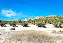 Area Recreativa "Victoria Rojas"景点图片