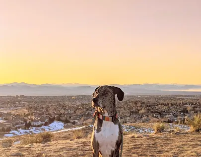 Bluffs Regional park