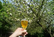 Domaine de Rugueville景点图片