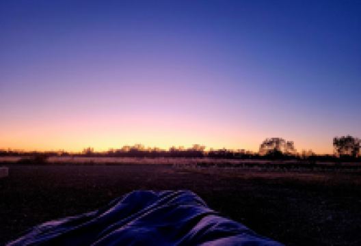 The Willows campground and picnic area景点图片