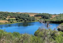 Biospot do Parque Biológico de Vinhais-Sede景点图片