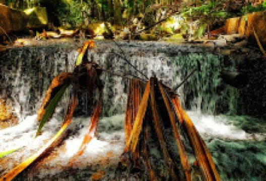 Vacoa Nature Trail景点图片