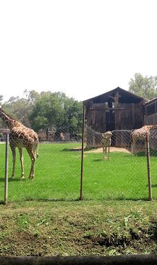 MORELIA ZOO ACUARIUM-莫雷利亚