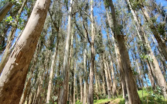 Hagemann Ranch Trout Fishing