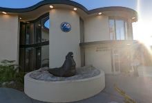 Cabrillo High School Aquarium景点图片