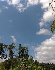 St. Jude Village Park-圣费尔南多