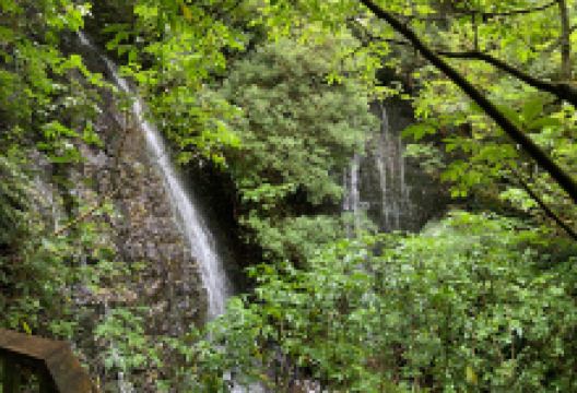 Barrs Falls景点图片