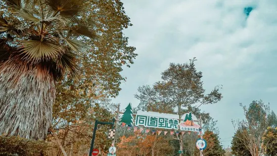 天府新區七彩田園