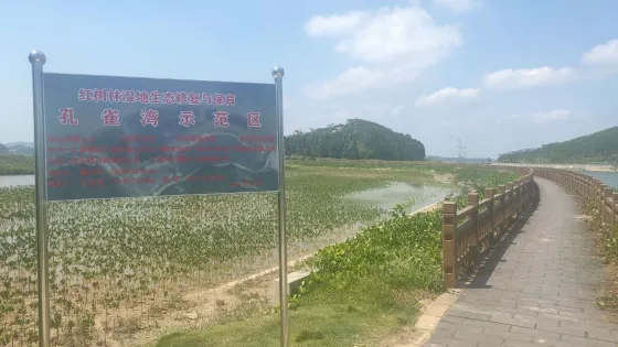 孔雀灣公園