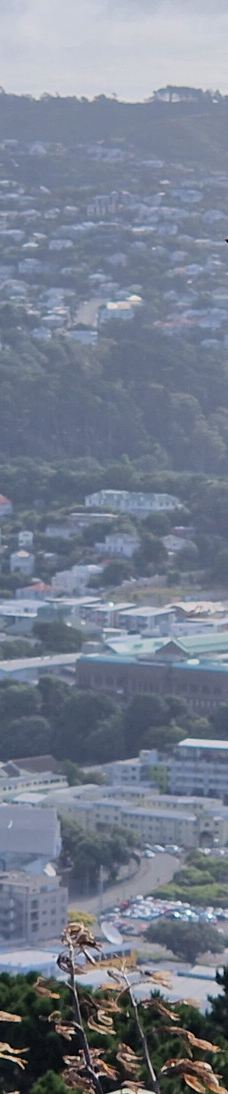 维多利亚山-惠灵顿