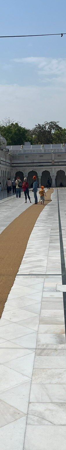 班戈拉·撒西比谒师所-新德里