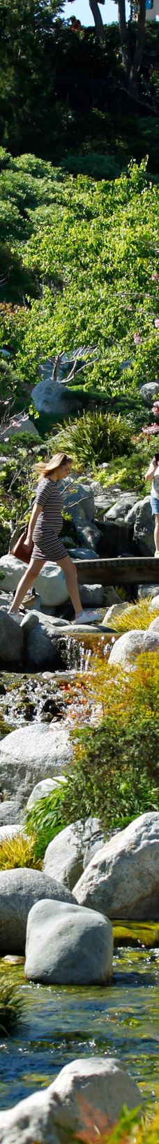 Japanese Friendship Garden & Museum-圣地亚哥