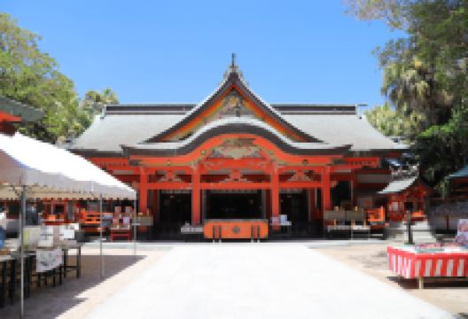 青岛神社景点图片