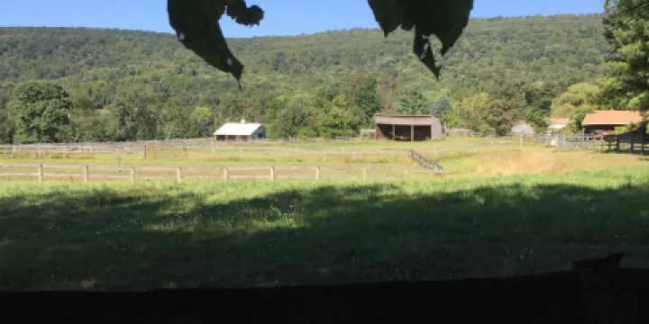 Mystic Mountain Llama Farm