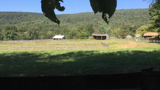 Mystic Mountain Llama Farm