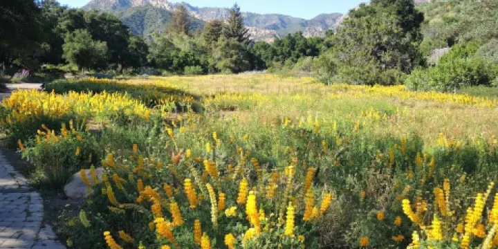 聖巴巴拉植物園