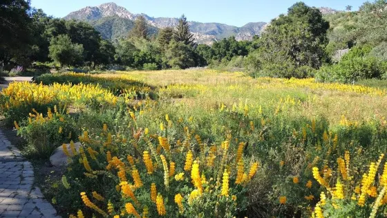 聖巴巴拉植物園