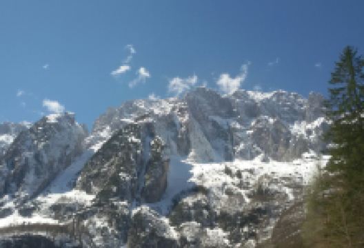 Foresta Millenaria di Tarvisio景点图片