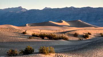 Mesquite Flat Sand Dunes