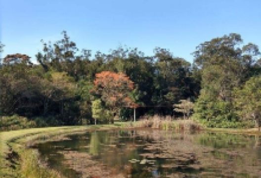 Botanical Garden of the Institute of Biosciences of Botucatu景点图片