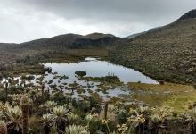 Santuario Chiquito景点图片