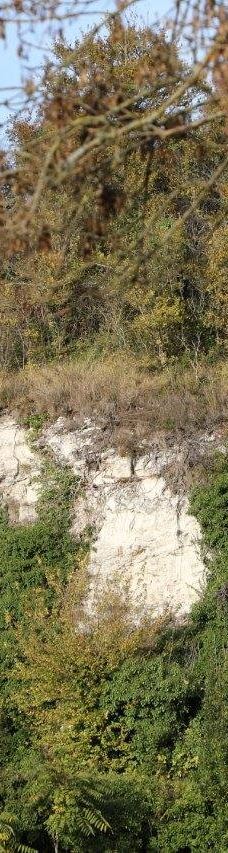 Ermitage Saint-Martial-吉伦特河畔莫尔塔涅