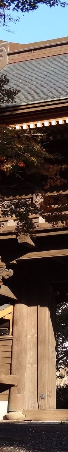 Fumon-ji Temple-丰桥市