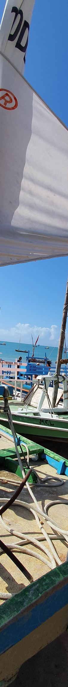 Piscinas Naturais de Pajucara-马塞约