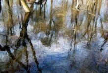 Lumber River Walk景点图片