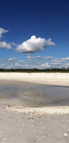 Hemingway Water Shuttle-柯里尔县