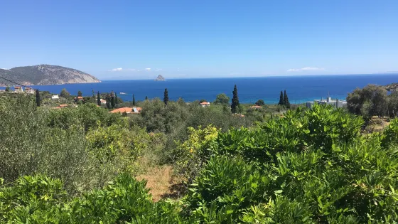 Lemonodasos
